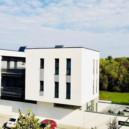 Casa Maria City Apartments Timisoara Ngoại thất bức ảnh